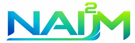 NAIM logo